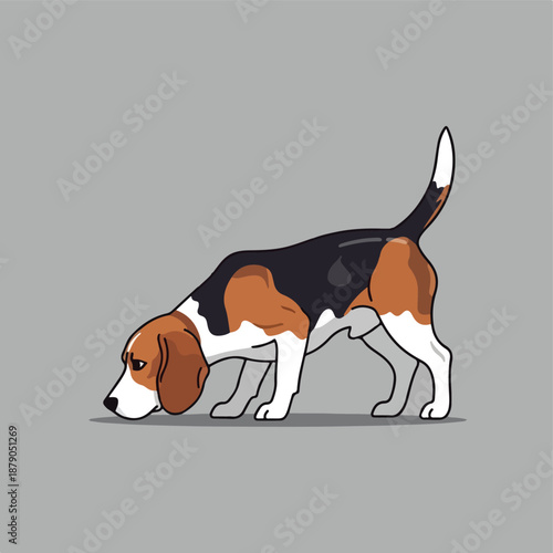 Dog sniffing the ground