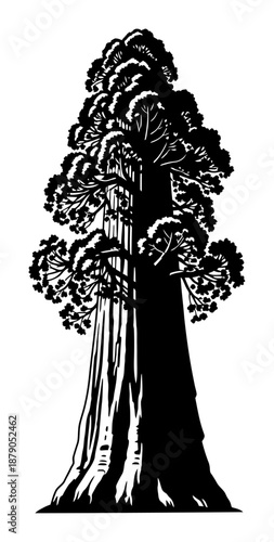 Sequoia Silhouette - Minimalist Vector Tree