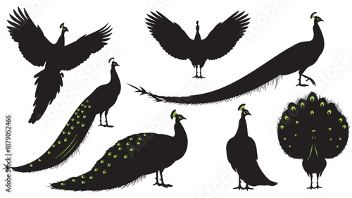 collection of peacock silhouettes in various poses