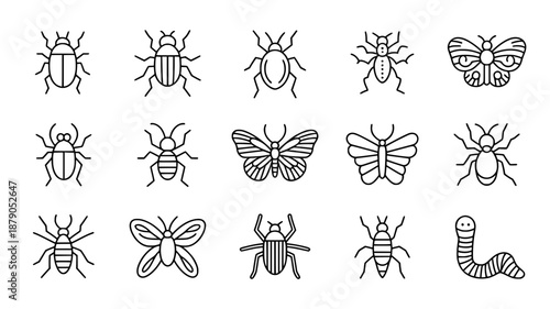 Outline icons of various insects including beetles, butterflies, ants, spiders, and a worm, presented in a simple, clean flat design style.