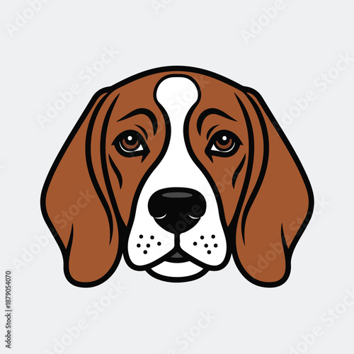 beagle dog isolated on white