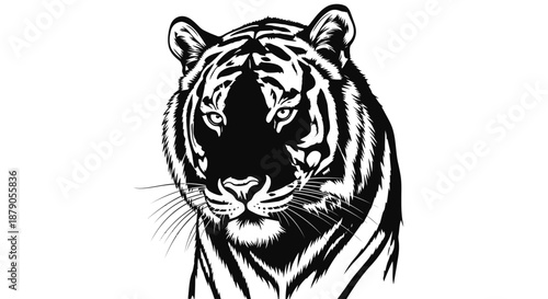 A black and white illustration of a tiger's face with a fierce expression