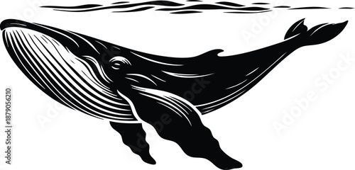 Black and white illustration of a humpback whale swimming underwater stylized linocut design for marine life concepts isolated on white background