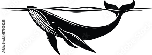 Black and white illustration of a whale breaching the surface a majestic marine mammal in a minimalist style for oceanographic or nature themes isolated on white background