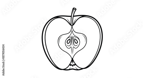 A detailed black and white line drawing of a cut apple showing its inner seeds and core.