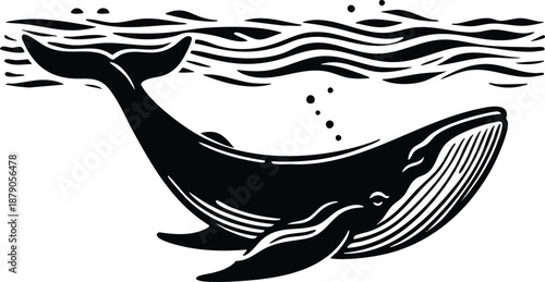 Whale swimming underwater stylized black and white illustration with wavy water surface and bubbles perfect for ocean themes and marine life concepts isolated on white background