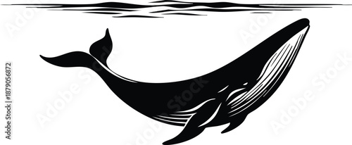 Giant humpback whale swimming just beneath the ocean surface vector illustration