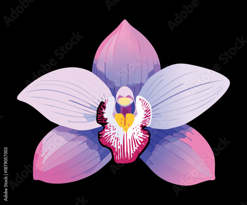 Beautiful purple orchid flower on a dark background for dramatic and high contrast botanical art