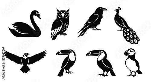 A collection of various bird silhouettes on a white background