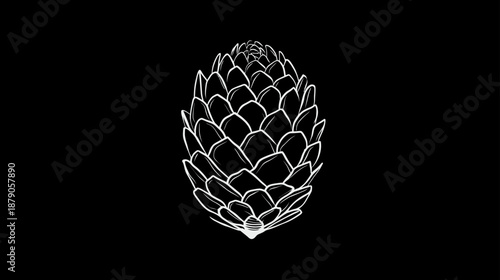 Minimalist white outline pine cone illustration on a black background, simple abstract graphic drawing of a natural organic shape.