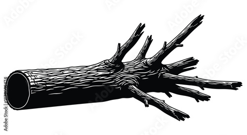 A black and white illustration of a hollow log with branches