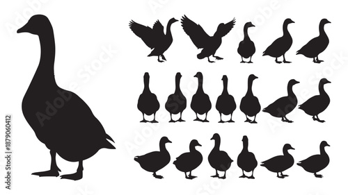 black silhouettes of geese in various poses