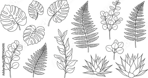 A collection of various leaf types and ferns in a simple line drawing style on a white background
