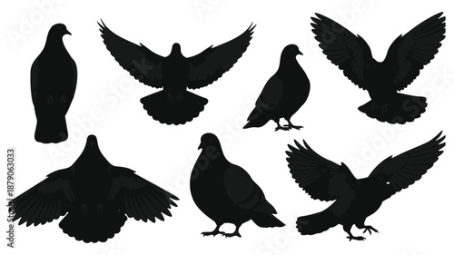 black silhouettes of pigeons in various poses