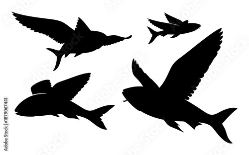 Flying Fish Silhouette - Minimalist Vector Illustration
