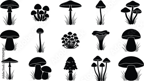 Black And White Vector Icon Set Of Various Mushroom Silhouettes Featuring Different Fungi Species Growing In Grass For Nature Forest And Biology Design Projects