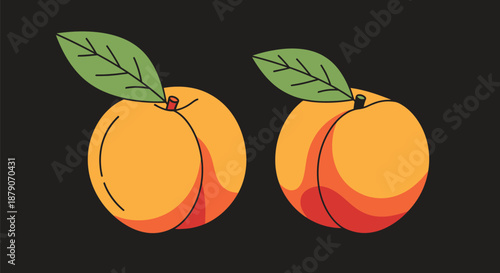 A colorful illustration of two peaches with green leaves on a black background