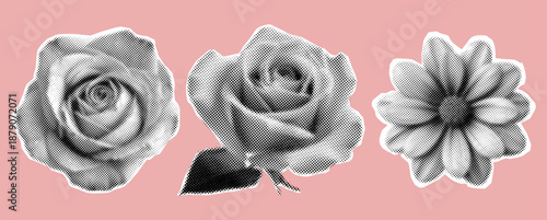 Set of beautiful flowers,roses in halftone style,cut out elements for collage design