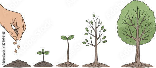 Tree growth stages illustration showing hand planting seeds, germination, seedling, young sapling, and mature tree lifecycle for environmental education and nature concepts