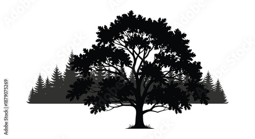 a large tree with many leaves and branches in front of forest silhouette high quality professional detailed modern elegant stylish clean