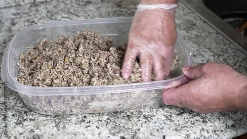 A person mixes cooked ground pork  meat, liver and onion with rice for rice sausages a clear container. The kitchen counter is made of granite. This is time lapse video.