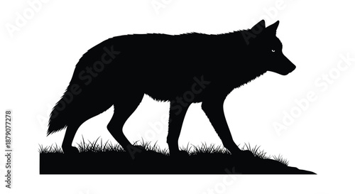 A striking depiction of a wild canine animal in profile standing amongst grassy terrain presented as a dramatic silhouette high quality