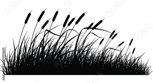 black grass and cattails plants on white background silhouette high quality professional detailed modern elegant stylish clean crisp vibrant colorful digital