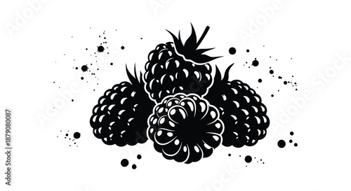 a blackberry illustration in a modern artistic silhouette high quality professional detailed elegant stylish clean crisp vibrant colorful digital creative innovative