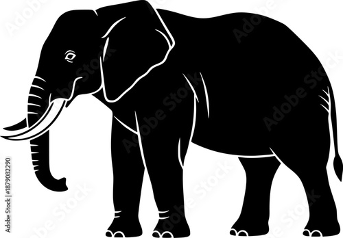 Elephant in black and white animal drawing,
