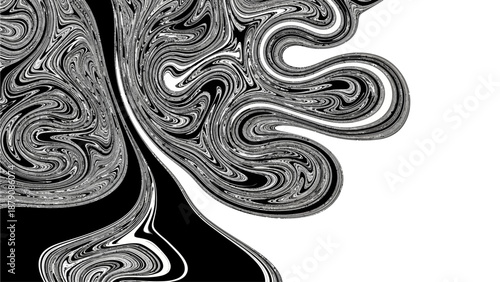 Intricate black and white swirling patterns creating an abstract artistic design with fluid shapes and dynamic movement