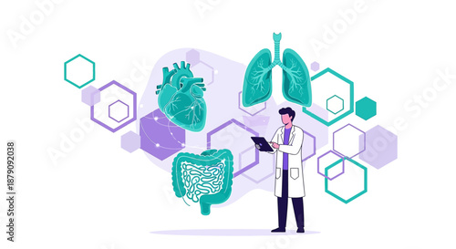 Medical professional examining organs, using modern technology for diagnostic purposes concept