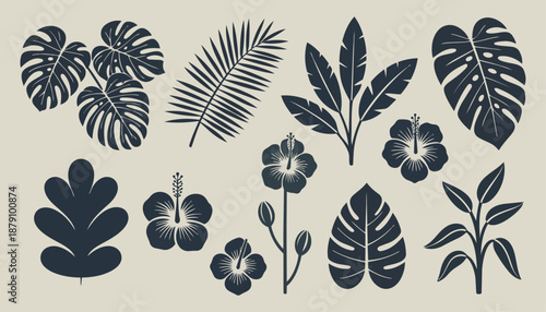 Tropical Tropical Leaf and Flower Silhouette Set with Monstera Palm and Hibiscus for Jungle Nature Design
