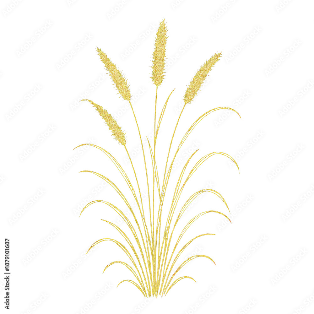 Fototapeta premium PNG Elegant golden wheat illustration.