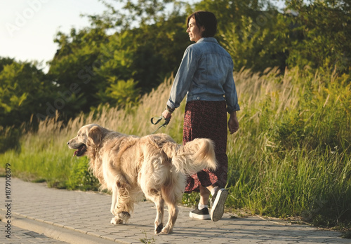 Female Dog Owner Walks Adorable Golden Retriever At Sunset On A Street During Daily Routine