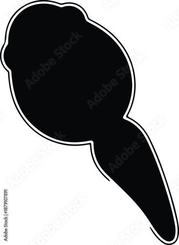 Black and white simple tadpole aquatic animal biology isolated illustration vector