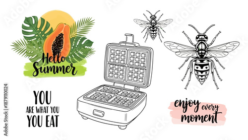 Summer themed illustration featuring insects, kitchen appliance, and tropical leaves from a direct viewpoint