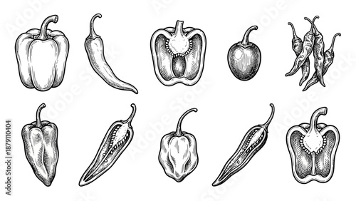 Pepper Sketch Vector Set –  Monochrome Hand-Drawn Illustrations of Whole and Sliced Peppers for Culinary Art, Botanical Study, and Design Use