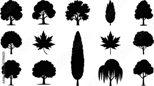 Vector Collection of Diverse Tree Silhouettes Featuring Cypress Maple Willow and Oak Shapes for Landscape Design Gardening Projects Forestry Research and Nature Graphic Illustrations (25 words)