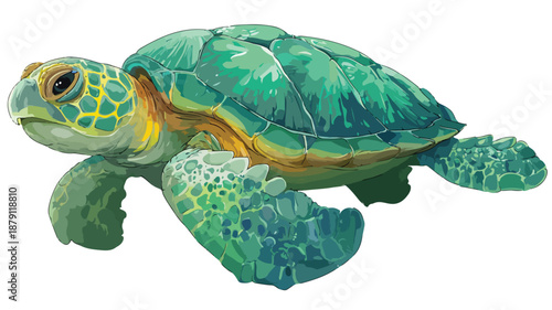 Adorable Cute Green Turtle Cartoon Vector with Outline Isolated on White Background