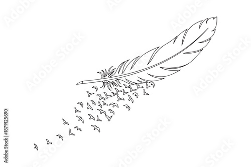Feather transforming into flying birds minimalist line art