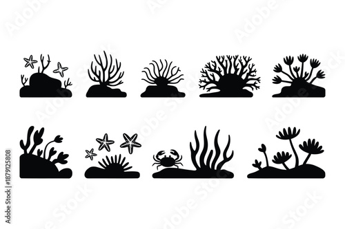 Silhouette icons of coral reef sea plants and marine life