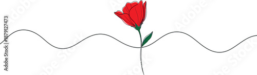 Valentine's day red rose isolated on transparent background romantic symbol of love
