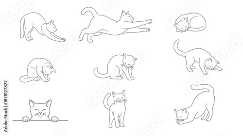 Various black line drawings of cats in different playful and resting positions