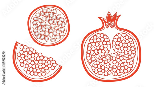 Pomegranate fruit illustration showcasing seeds and segments in a detailed graphic design