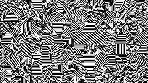 A complex pattern of black and white stripes and shapes creating optical illusions from a close-up viewpoint