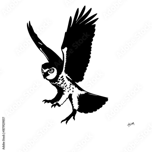 Great Horned Owl Preparing to Land Silhouette