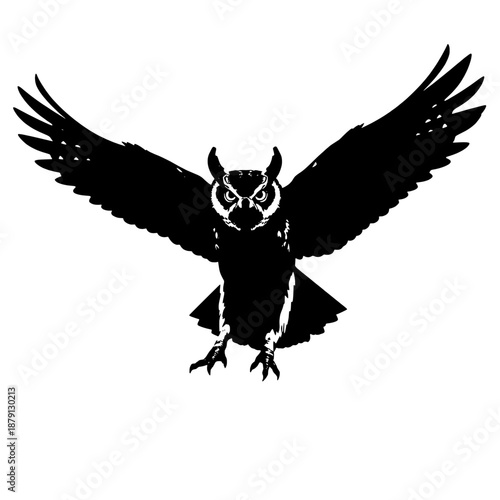 Owl Landing Front View Silhouette