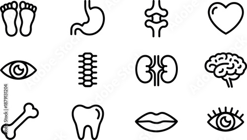 Collection of simple line art medical icons representing different human body parts and organs in a clean graphic design
