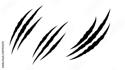 Black claw marks vector graphic on white background for design and decoration