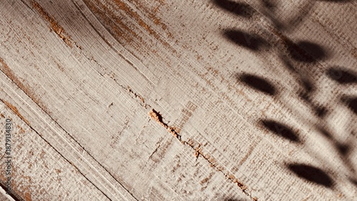 Natural Shadow Overlay of Leaves on Brown Wooden Texture. Empty Space for Text.